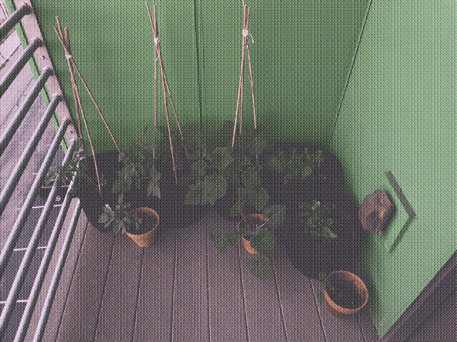 Aspirational bamboo sticks added to the two tomato plants and one baby pumpkin plant.