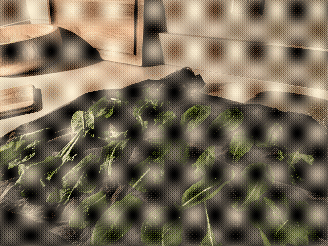 Lettuce leaves spread out drying on a towel.